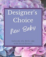 Designer\'s Choice - New Baby