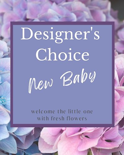 Designer\'s Choice - New Baby