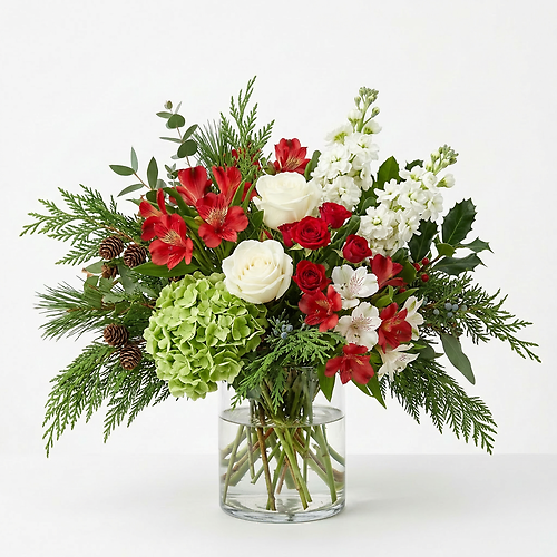 Evergreen & Winter Bloom Radiance