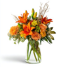 Autumn\'s Embrace