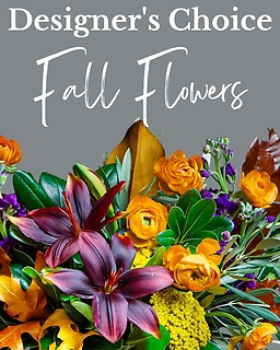 Designer\'s Choice - Fall