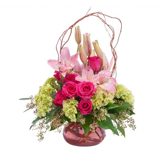 Oh, So Beautiful Blooms