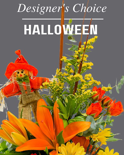 Designer\'s Choice - Halloween