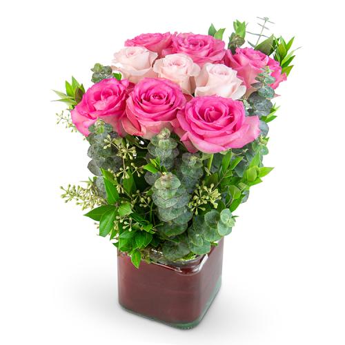 Roses N Ros