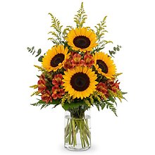 Golden Harvest Radiance