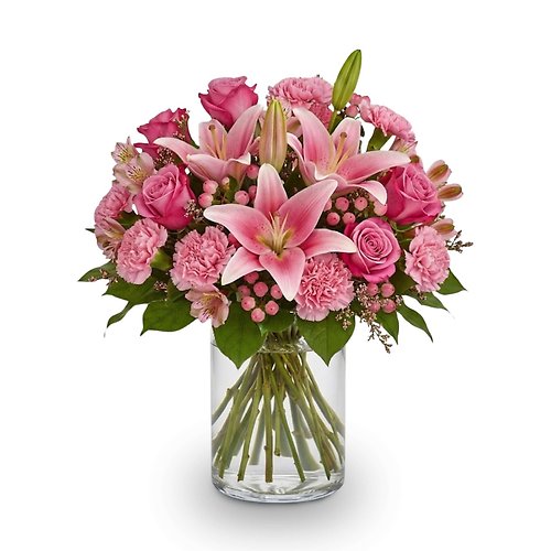 Courageous Pink Harmony