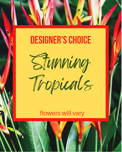 Designer\'s Choice -Tropical