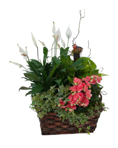 Mixed Basket