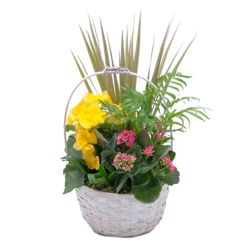 Bloomin\' Sunshine Days Basket