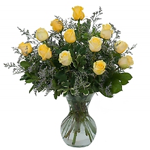 Yellow Rose Beauty