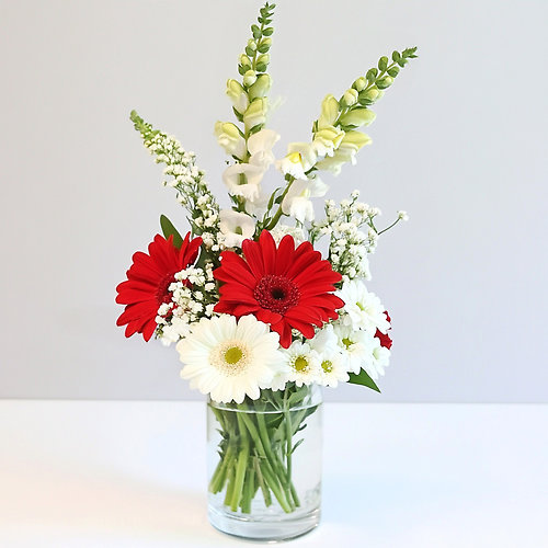 Red & White Wonder
