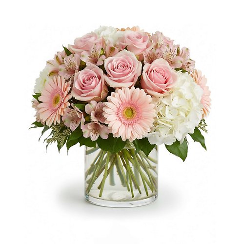 Blushing Blossom Bundle