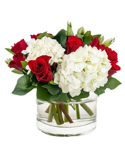 True North Blooms