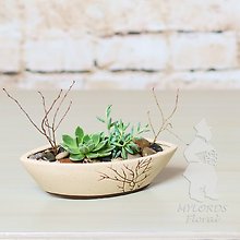 Serene Succulent Garden